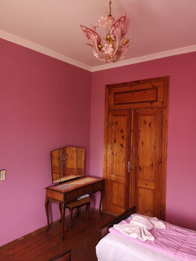 Shorena'S House زوغديدي المظهر الخارجي الصورة